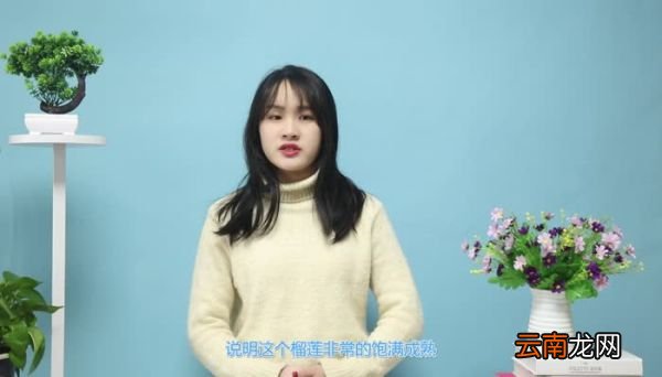 榴莲怎么挑 怎样挑榴莲