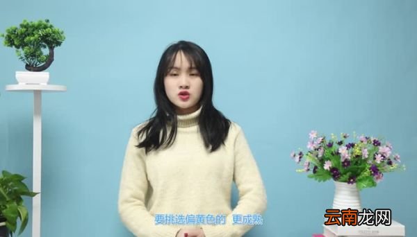 榴莲怎么挑 怎样挑榴莲