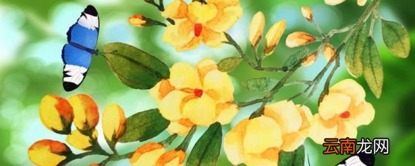 描写春天景物的短句子 关于春天景物的短句子