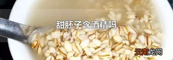 甜胚子含酒精吗