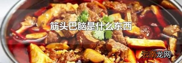 筋头巴脑是什么东西