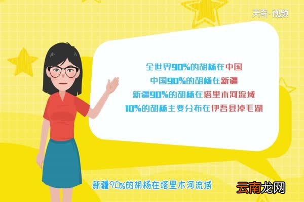 胡杨林在什么地方 胡杨林分布在什么地方