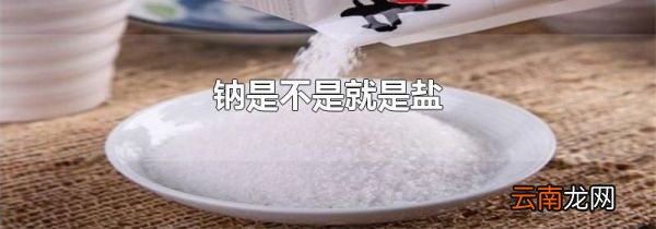 钠是不是就是盐