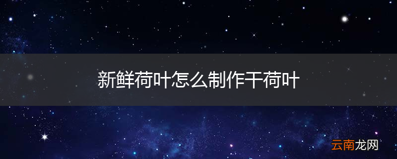 新鲜荷叶怎么制作干荷叶