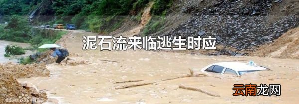 泥石流来临逃生时应