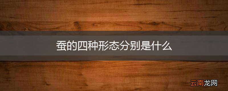 蚕的四种形态分别是什么