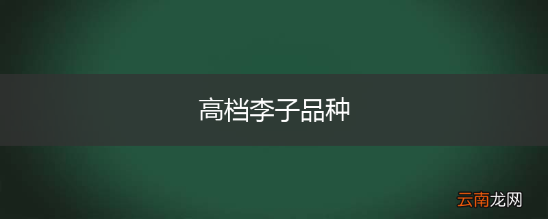 高档李子品种
