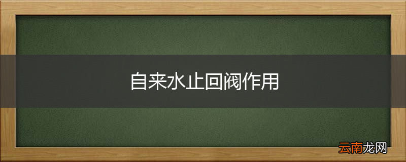自来水止回阀作用