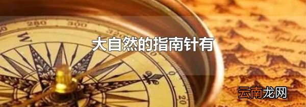 大自然的指南针有