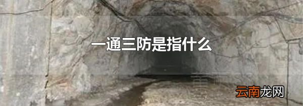 一通三防是指什么