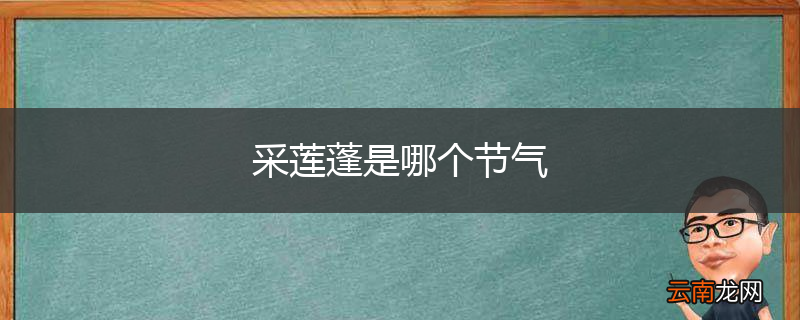 采莲蓬是哪个节气