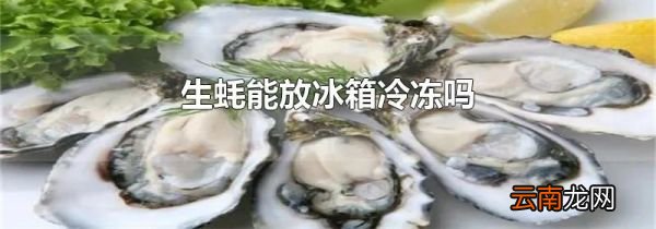 生蚝能放冰箱冷冻吗
