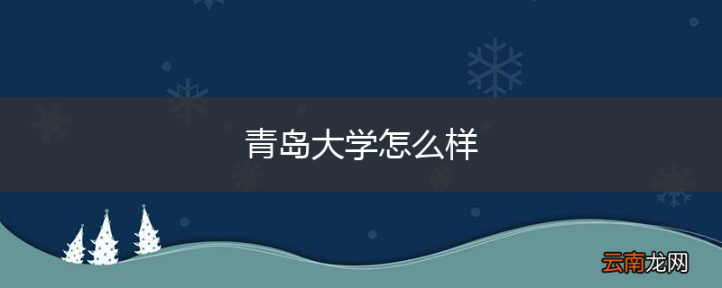 青岛大学怎么样