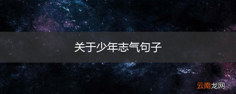 关于少年志气句子
