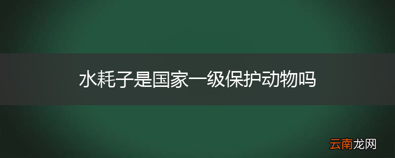 水耗子是国家一级保护动物吗
