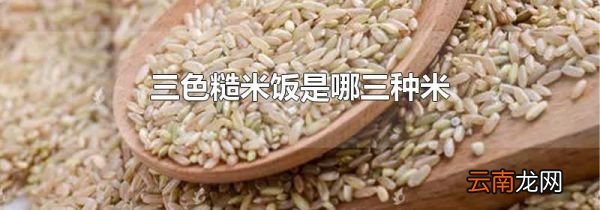 三色糙米饭是哪三种米