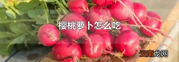 樱桃萝卜怎么吃