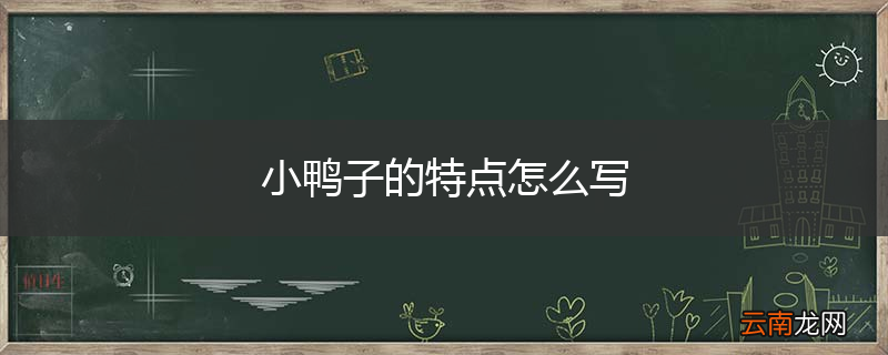 小鸭子的特点怎么写