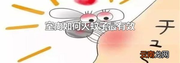 室内如何灭蚊子最有效