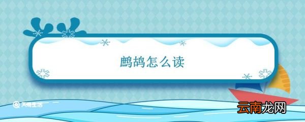 鹧鸪怎么读 鹧鸪怎么读拼音