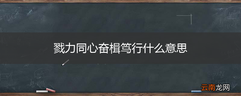 戮力同心奋楫笃行什么意思