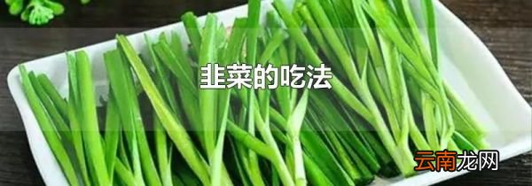 韭菜的吃法