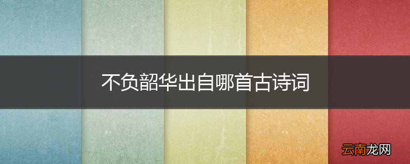 不负韶华出自哪首古诗词