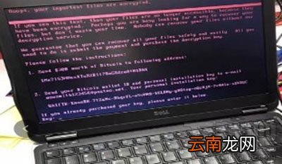 Petya勒索病毒怎么查杀方法