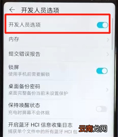 荣耀v20打开开发者选项的操作步骤