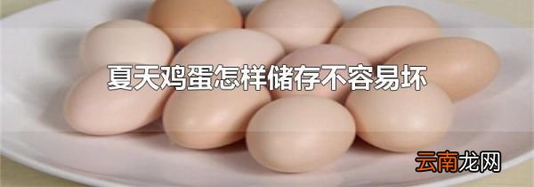 夏天鸡蛋怎样储存不容易坏
