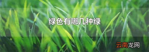 绿色有哪几种绿