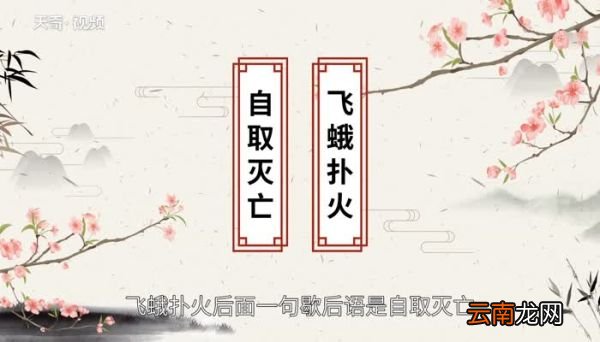 飞蛾扑火歇后语下一句 飞蛾扑火的后面一句歇后语是什么