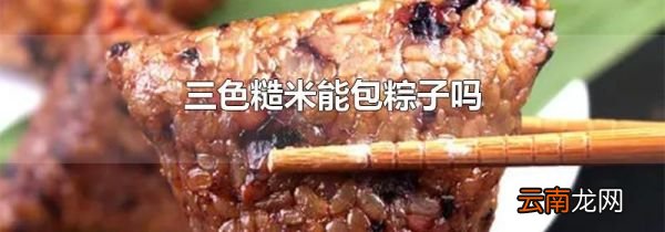 三色糙米能包粽子吗