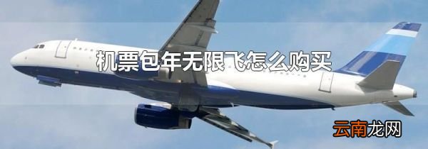 机票包年无限飞怎么购买