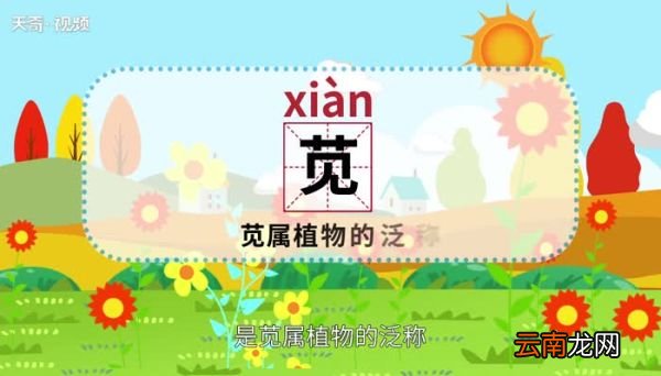 苋怎么读 苋怎么读法