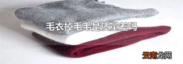 毛衣掉毛毛是质量差吗