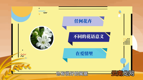 六月雪花语 六月雪花语是什么
