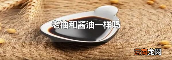 老抽和酱油一样吗