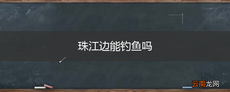 珠江边能钓鱼吗