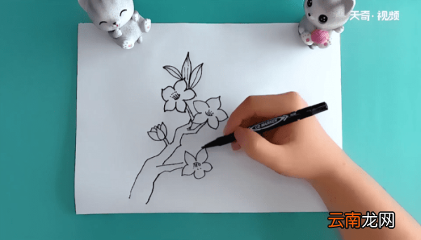 桃花树的简笔画 桃花树的简笔画报