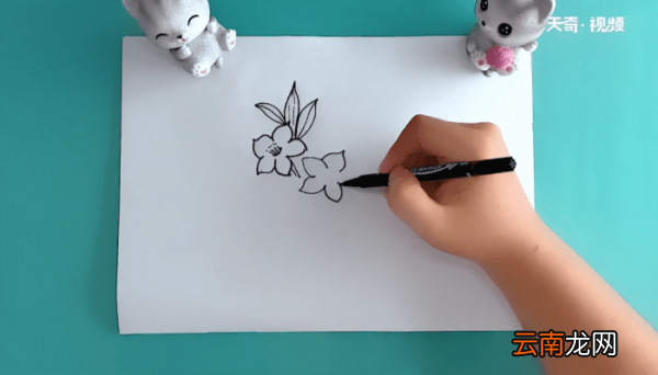 桃花树的简笔画 桃花树的简笔画报