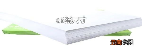 a3纸尺寸