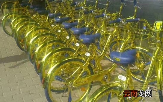 金色的共享单车是哪家的？怎么借金闪闪单车