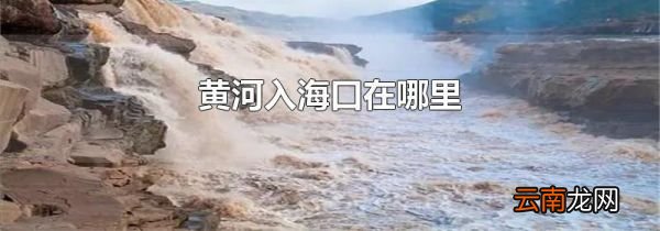 黄河入海口在哪里