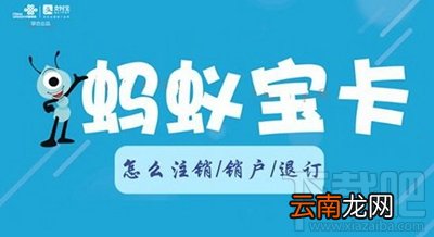 蚂蚁宝卡怎么注销？蚂蚁宝卡注销步骤