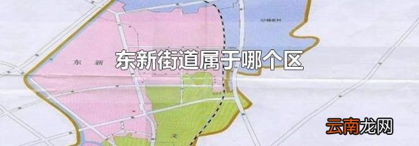 东新街道属于哪个区