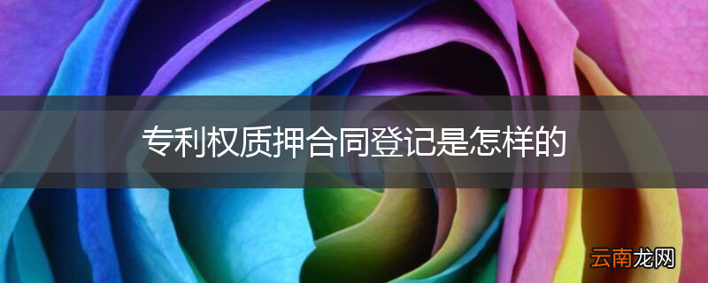 专利权质押合同登记是怎样的