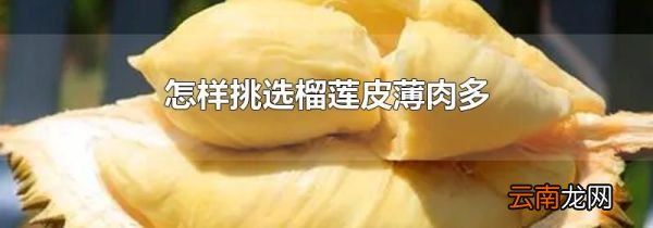 怎样挑选榴莲皮薄肉多