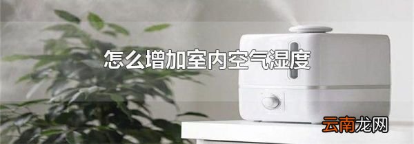 怎么增加室内空气湿度