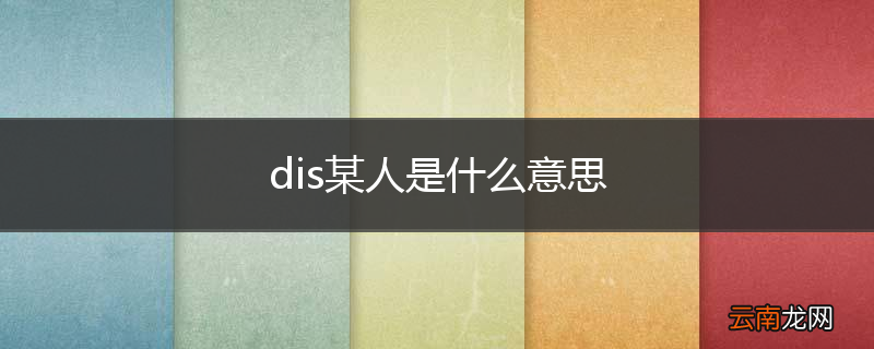 dis某人是什么意思
